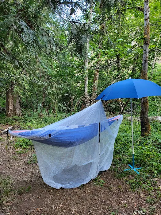 Breitenbush Campground Picture 2