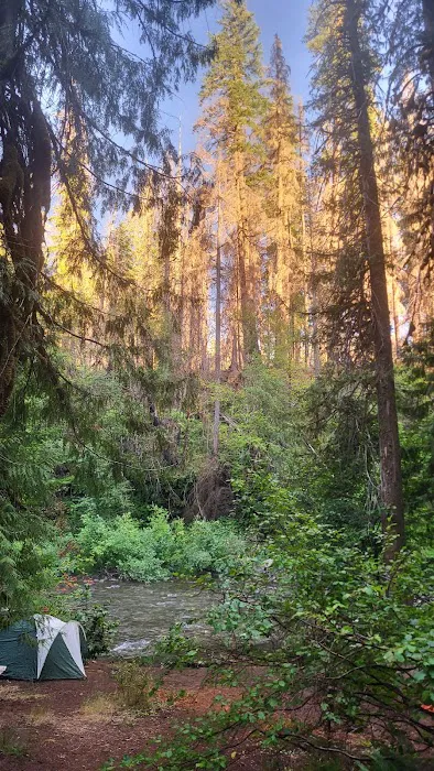 Breitenbush Campground Picture 3