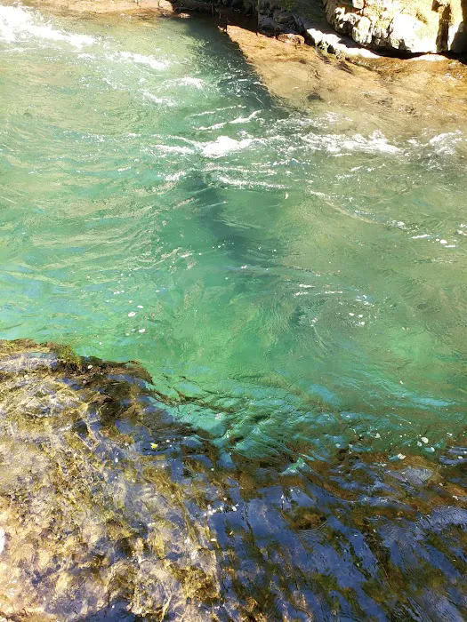 Breitenbush Campground Picture 5