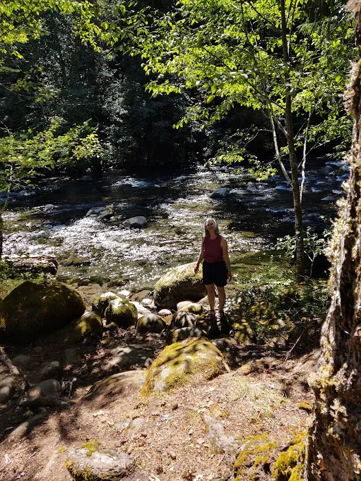 Breitenbush Campground Picture 9