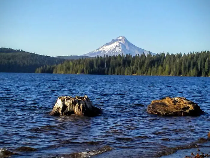Gone Creek Campground Picture 5