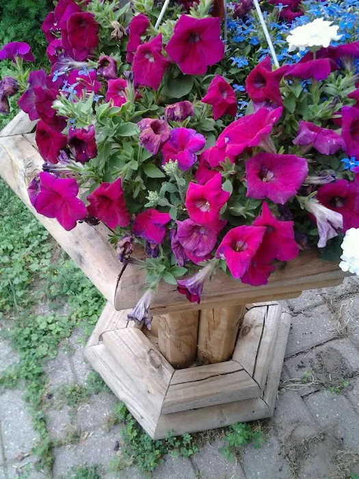 Ridgeview Manufactured Home Community Picture 2