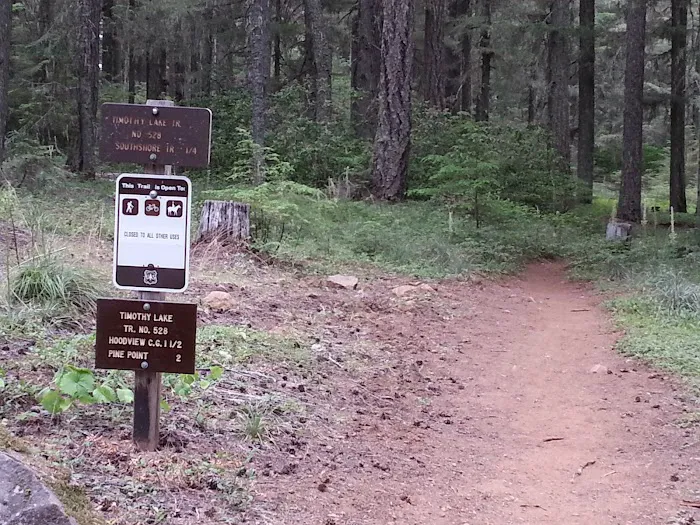 Gone Creek Campground Picture 4