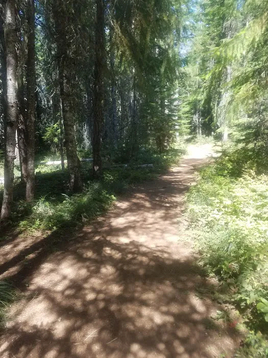Oak Fork Campground Picture 1