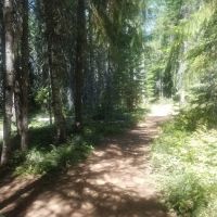 Oak Fork Campground ico