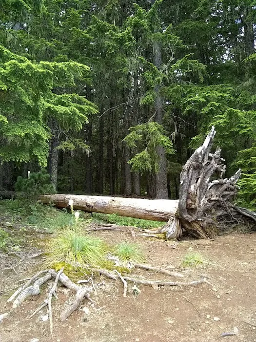 Oak Fork Campground Picture 9