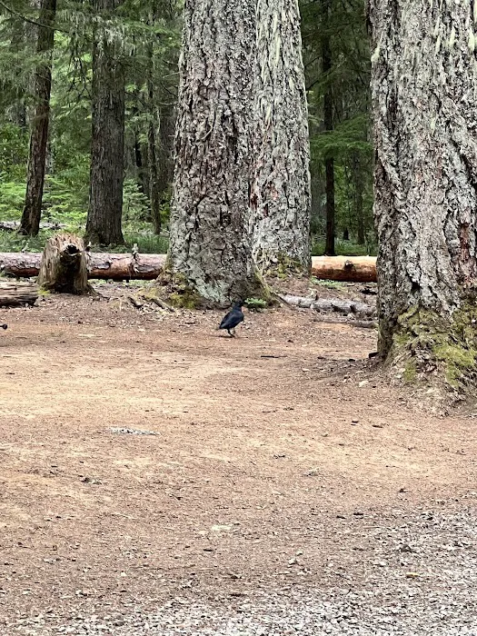 Oak Fork Campground Picture 8