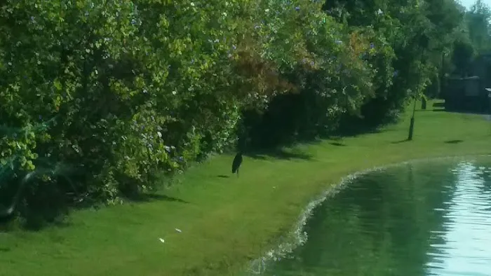 Countryside Estates, MHC, LLC Picture 6