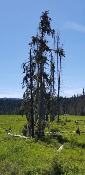 Clackamas Lake Historic Ranger Station Picture 2
