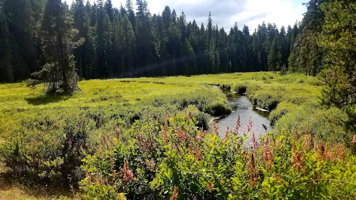 Clackamas Lake Historic Ranger Station Picture 10