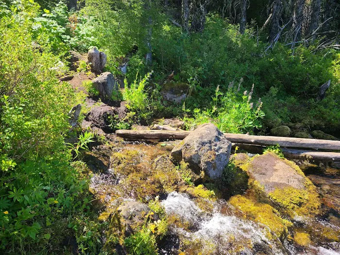 Clackamas Lake Campground Picture 6