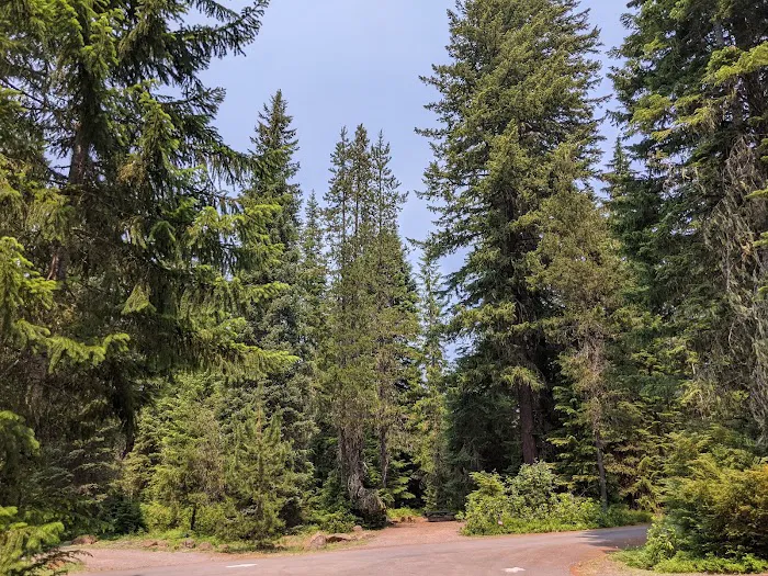 Clackamas Lake Campground Picture 9