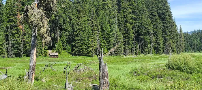 Clackamas Lake Campground Picture 5