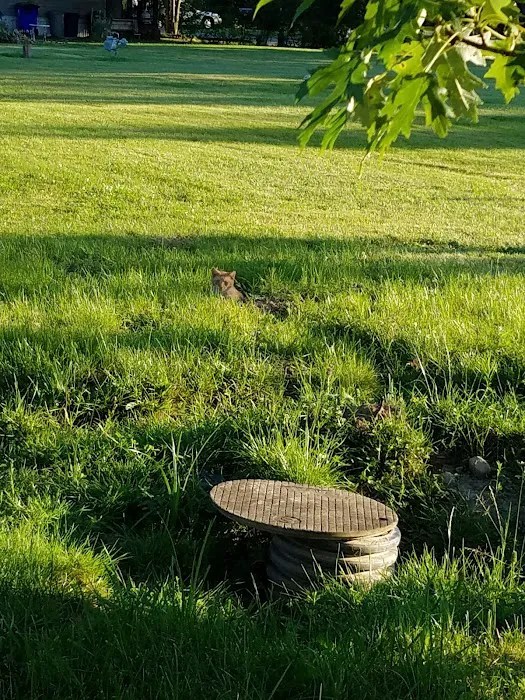 Suburban Rapids Mobile Home Picture 10