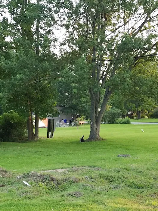 Suburban Rapids Mobile Home Picture 7