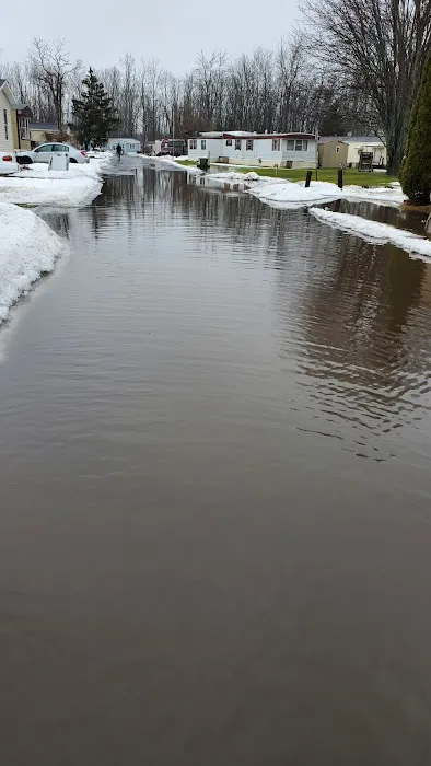 Suburban Rapids Mobile Home Picture 1