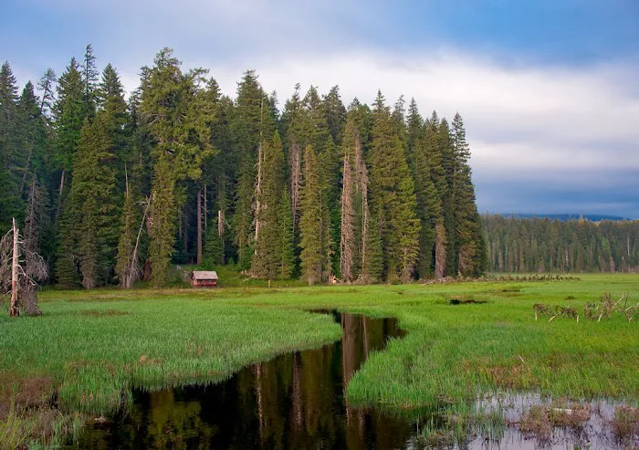 Joe Graham Horse Campground Picture 5