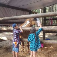 Joe Graham Horse Campground ico