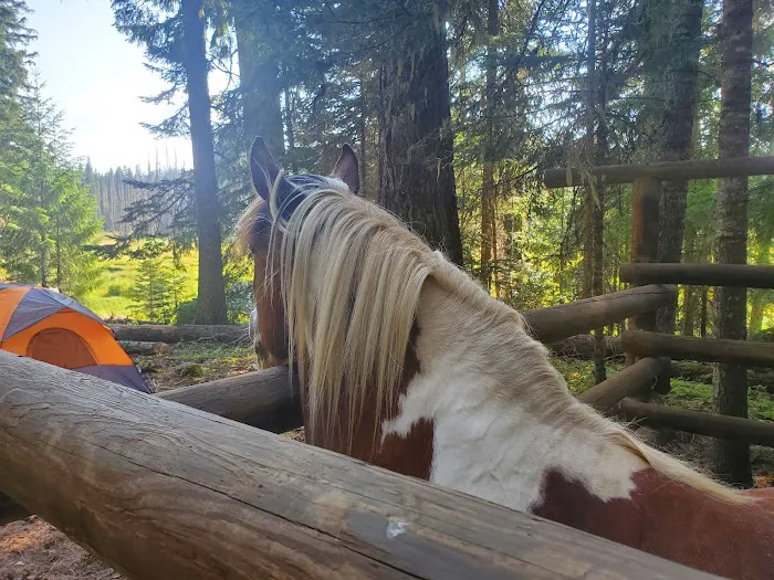Joe Graham Horse Campground Picture 8
