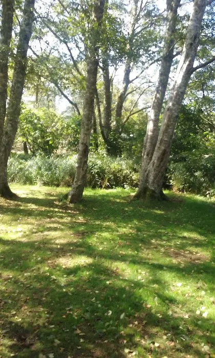 Campground D Picture 1