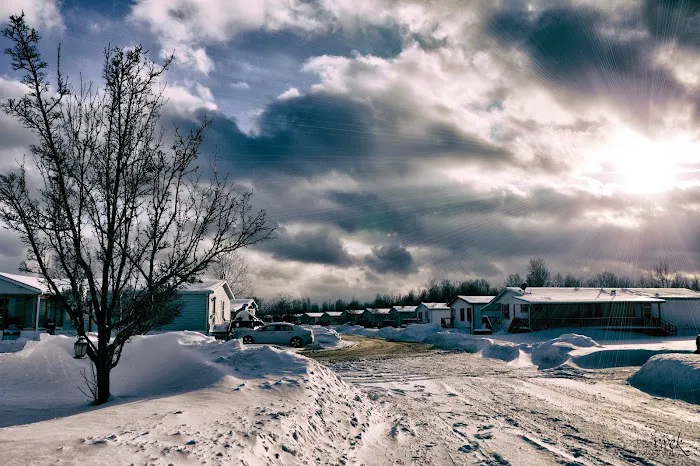 The Woodlands Picture 9