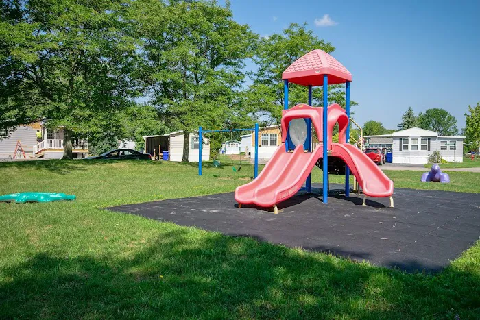 The Woodlands Picture 2