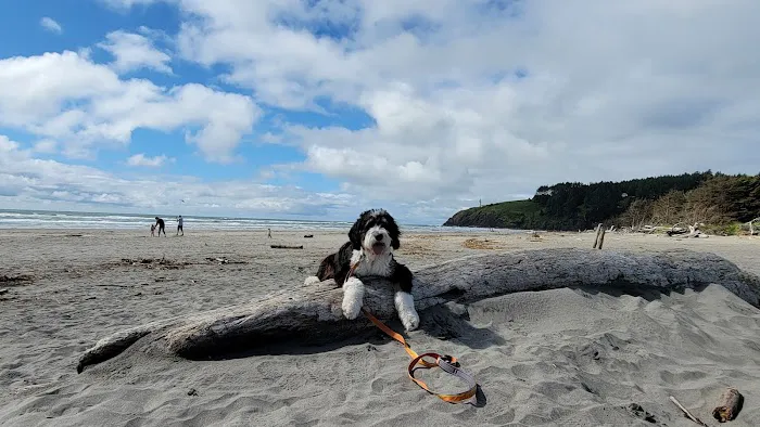 A Loop of Cape Disappointment State Park Picture 2