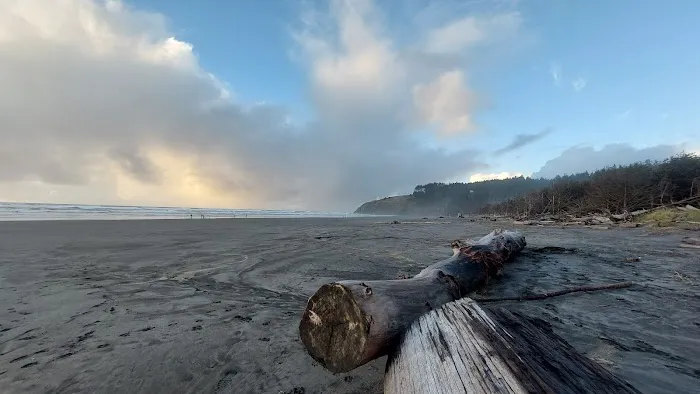 A Loop of Cape Disappointment State Park Picture 7