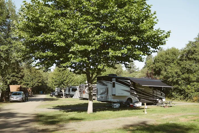 Wallicut River RV and Campground Resort Picture 8