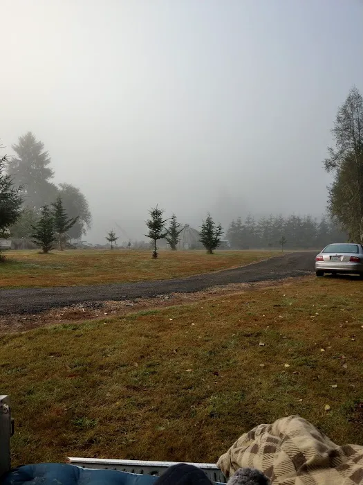 Deep River Camp Picture 2