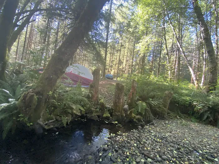 Tunerville Campground Picture 4