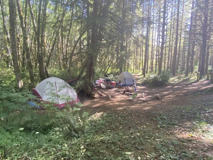 Tunerville Campground Picture 8
