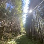 Tunerville Campground