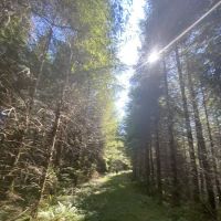 Tunerville Campground ico