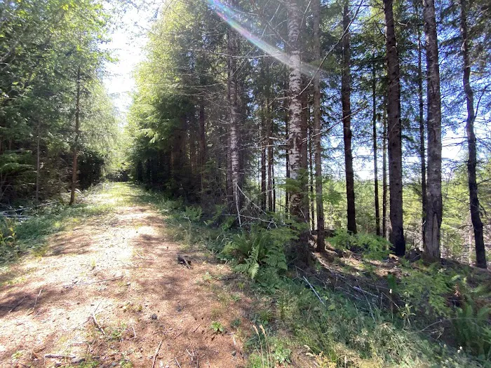 Tunerville Campground Picture 9