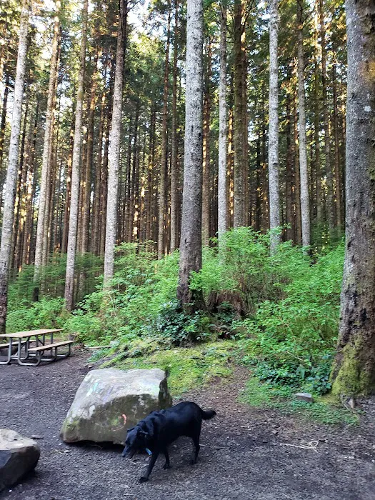 Snag Lake Campground Picture 10