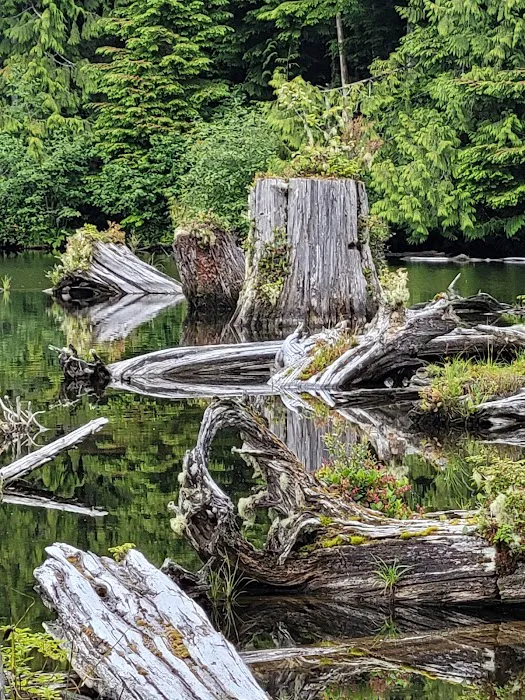 Snag Lake Campground Picture 4