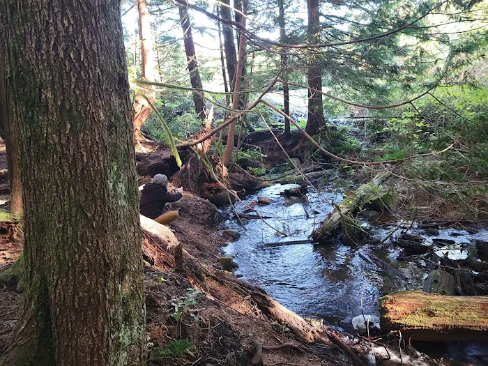 Snag Lake Campground Picture 2