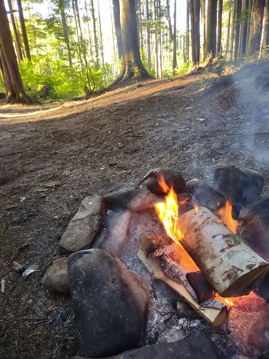 Western Lake Campground Picture 2