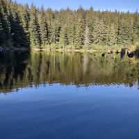 Western Lake Campground ico