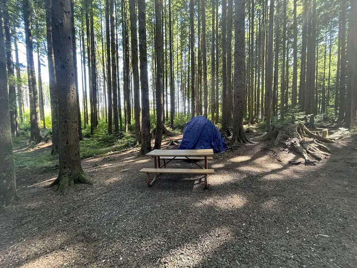 Western Lake Campground Picture 5