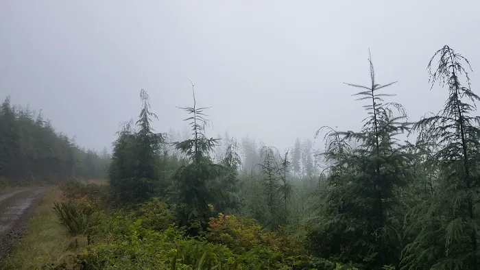 Western Lake Campground Picture 4