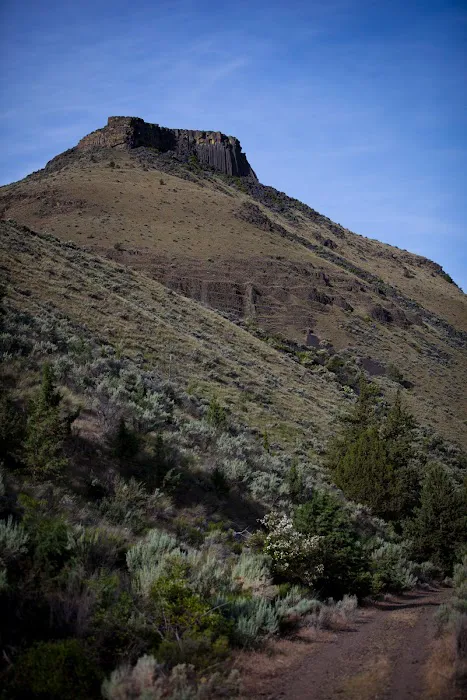 Trout Creek Campground. Picture 8