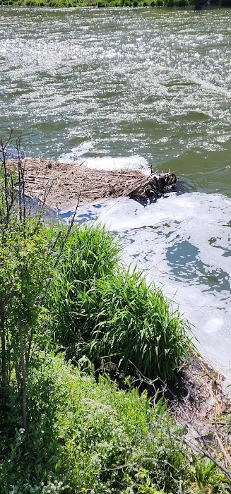 Dry Creek Campground Picture 7