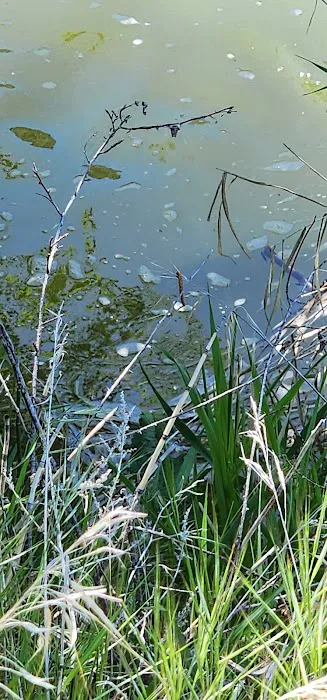 Dry Creek Campground Picture 6