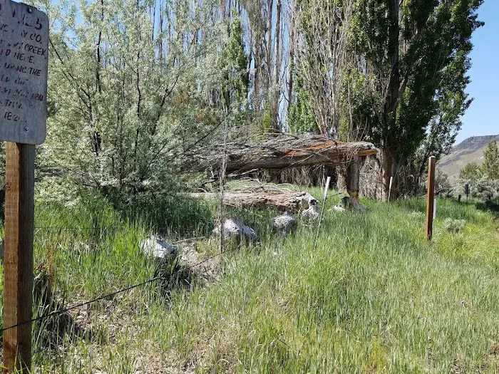 Dry Creek Campground Picture 8