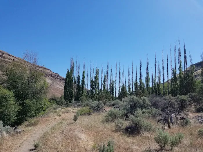 Dry Creek Campground Picture 3