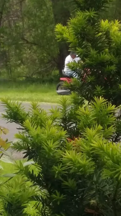 Transit Cayuga Mobile Homes Picture 3