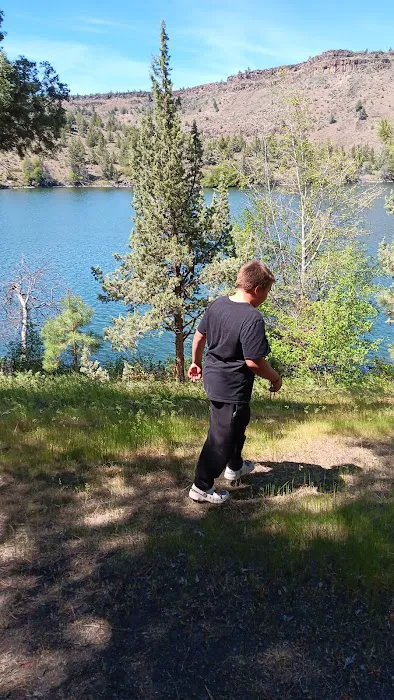 Antelope RV Park Picture 5