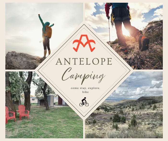 Antelope RV Park Picture 10